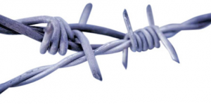 Secrets to Connecting With Older Leaders
