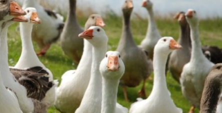 Secrets to Leading Without Position or Authority