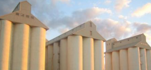 Destroy Silos Before They Destroy You