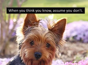 16 Dumb Questions You’re Afraid to Ask