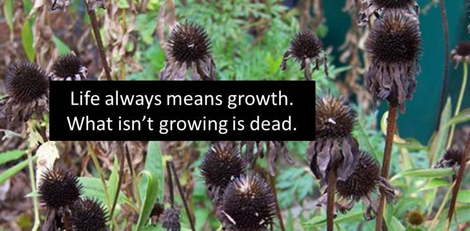 Breathing Life into the Walking Dead