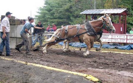 Getting Foot-Draggers on Board