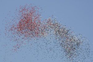 Forgiveness: Let Go and Heal
