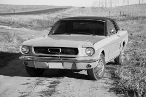 Want to Turn Back the Great Society?