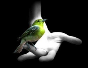 Getting Corporate Leaders Coming to You