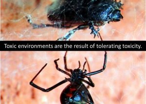 Confronting Toxicity