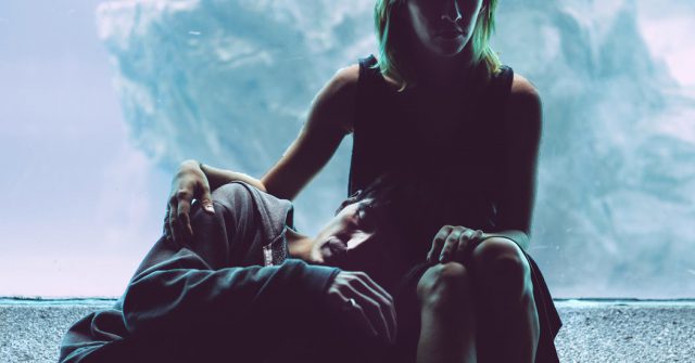 ‘Animals’: The Damage Done