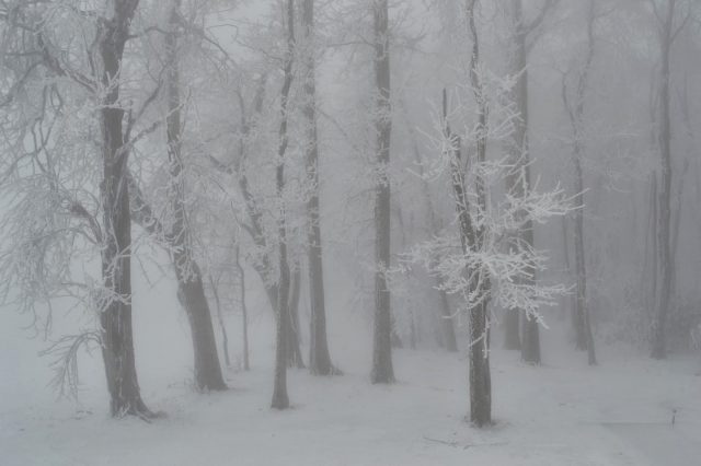 Winter’s Middle Finger