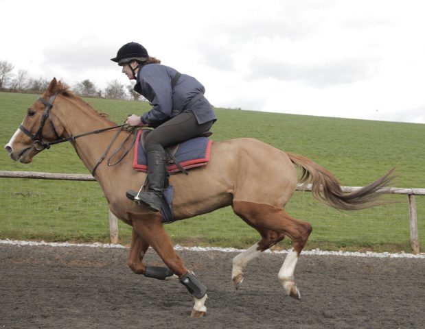 ‘Dark Horse’: Nags to Riches