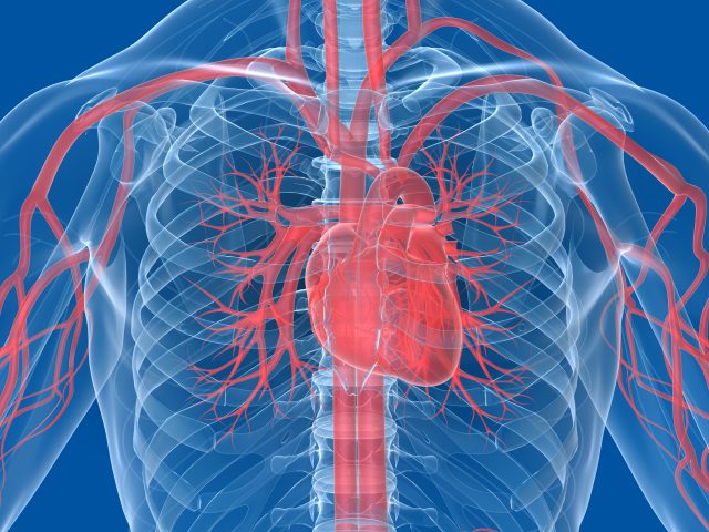 Erectile Dysfunction and Heart Disease