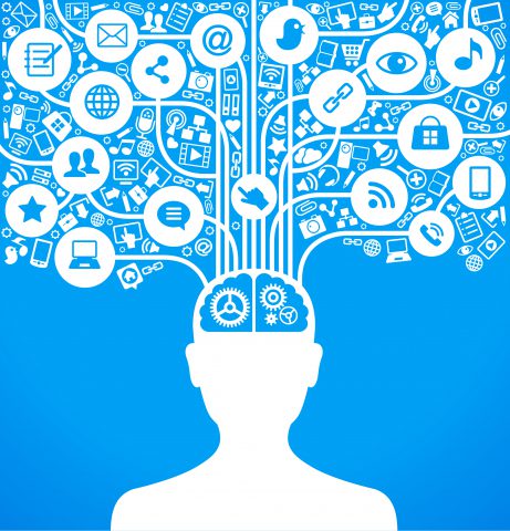 The Teenage Brain