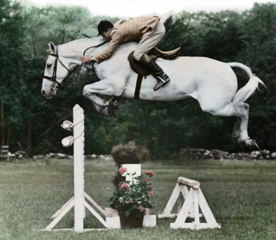 ‘Harry & Snowman’: The $80 Champion