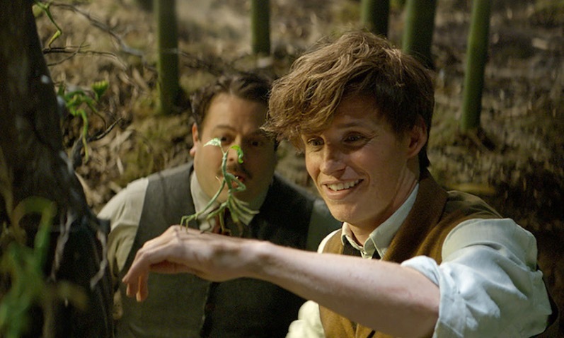 ‘Fantastic Beasts and Where to Find Them’: No Head, No Heart