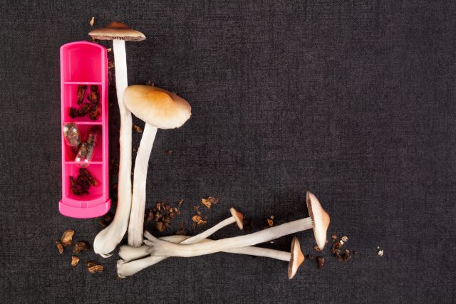 First, Marijuana — Are Magic Mushrooms Next?