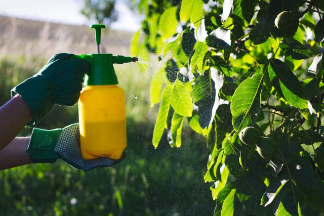 Pesticides and Parkinson’s Disease