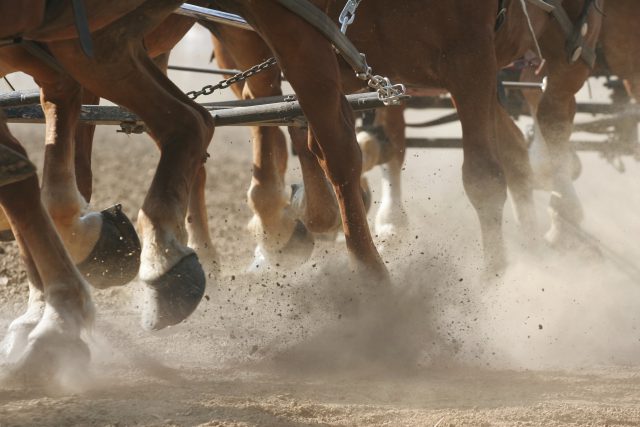 The Cart Before the Horse
