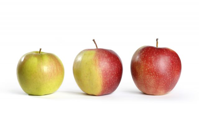 How to Reach the Ultimate Goal of Leadership