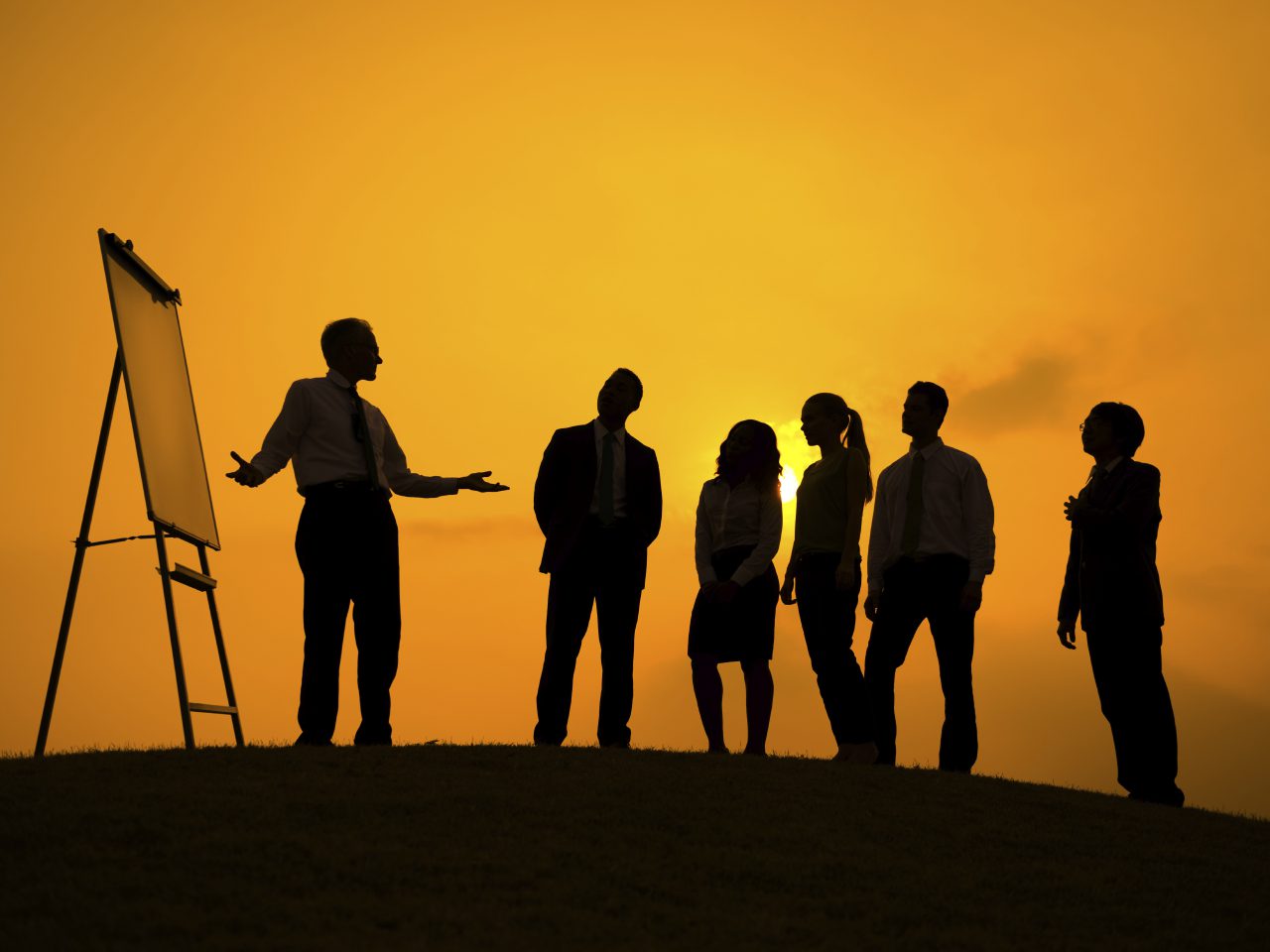 How Curious Leaders Succeed