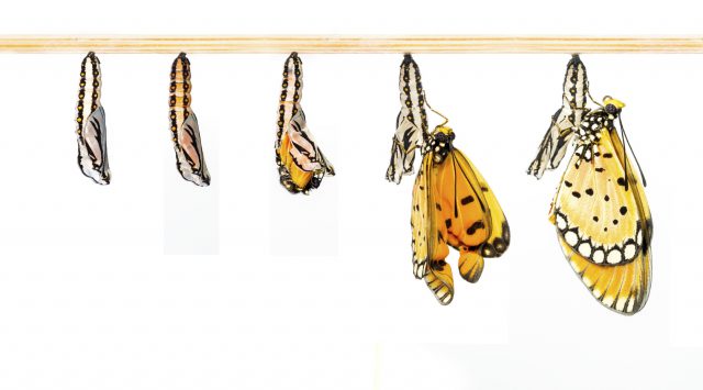 Changing Your Life and Leadership