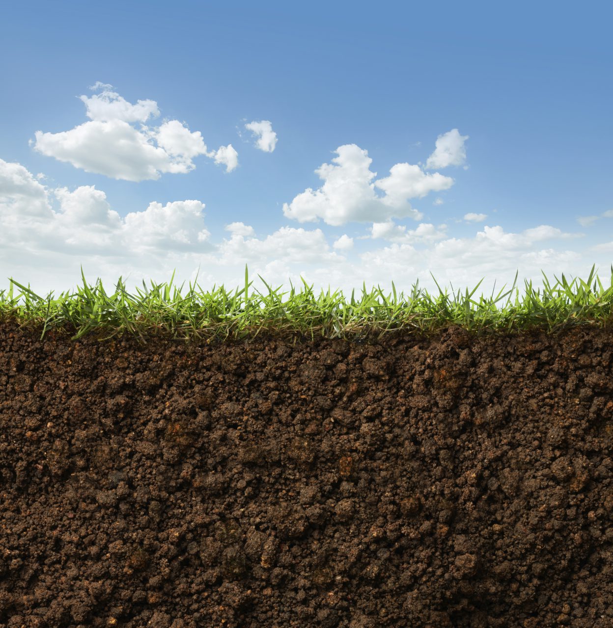 Soil: A Vital Resource