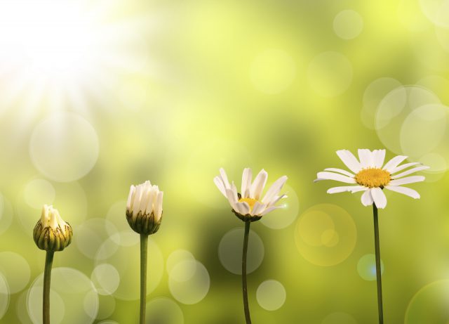 Stop Talking About Transformation