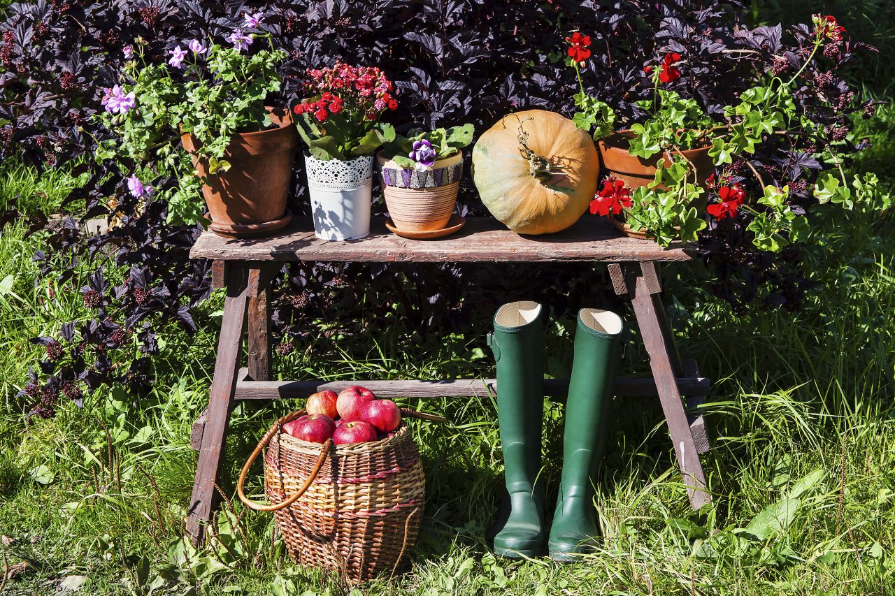 Assess and Reassess in the Garden