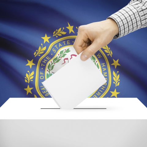 Reflections on New England Democracy
